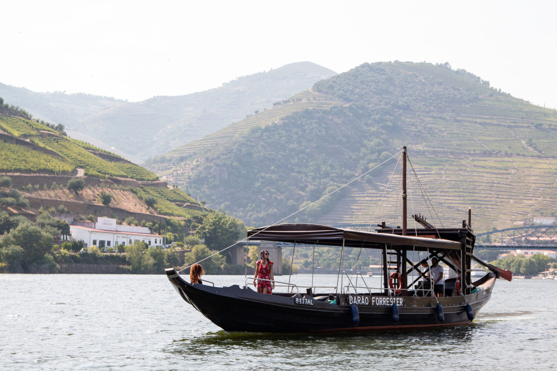 View of Douro Valley from Pinhão