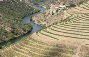 Quinta do Panascal