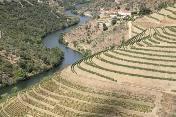 Quinta do Panascal