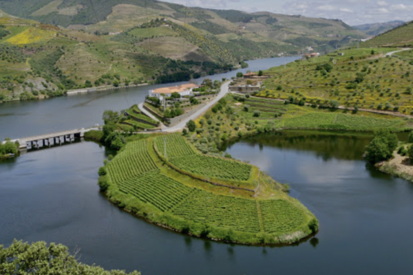 Quinta do Tedo