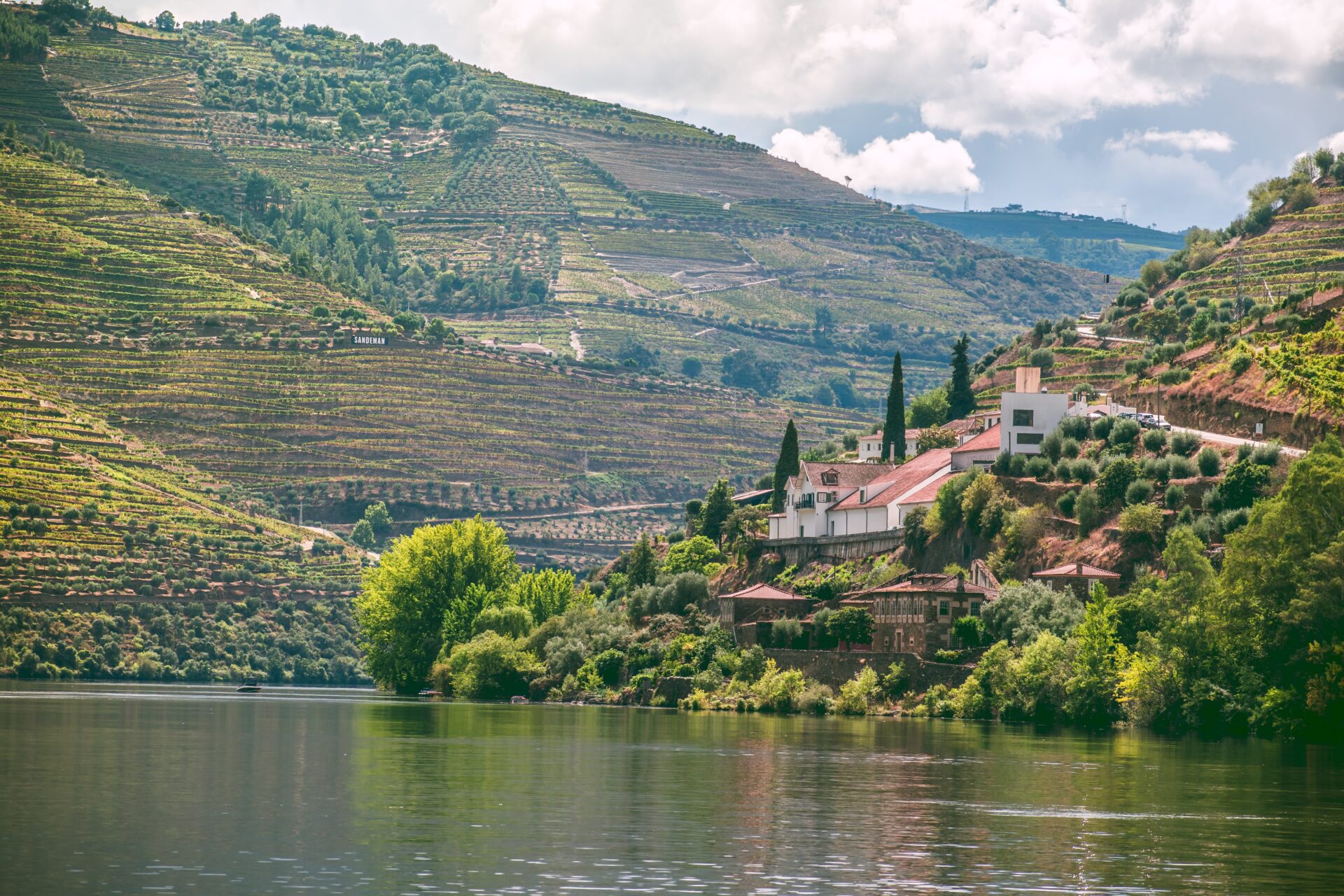 Douro Valley Wine Tour