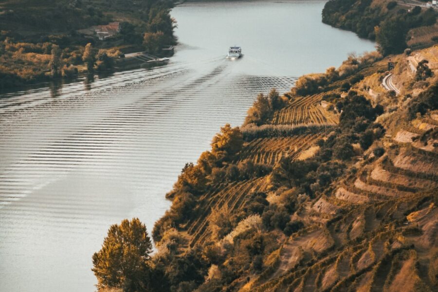 Discover Douro Valley with Our Private Group Wine Tours