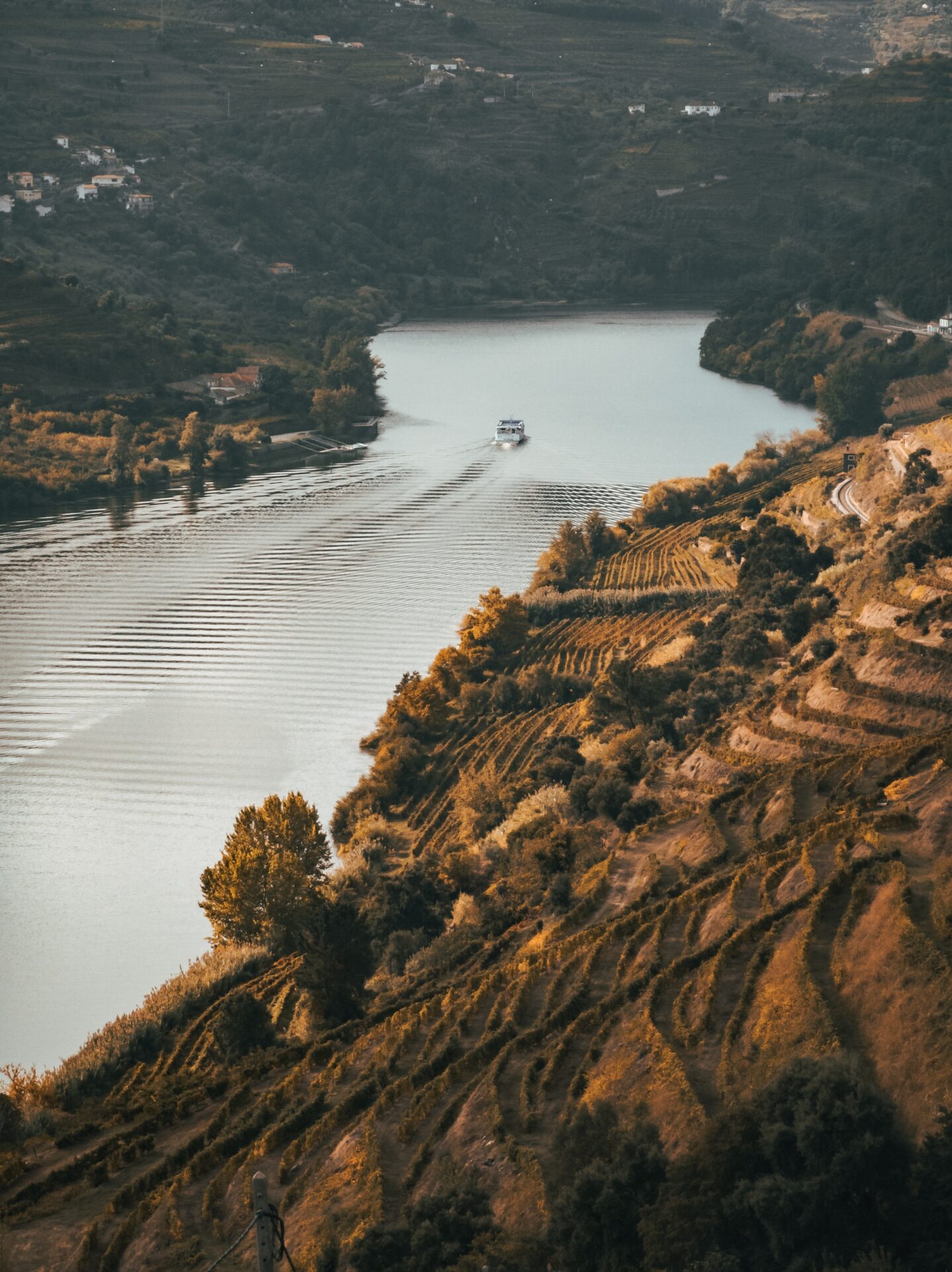 Discover Douro Valley with Our Private Group Wine Tours