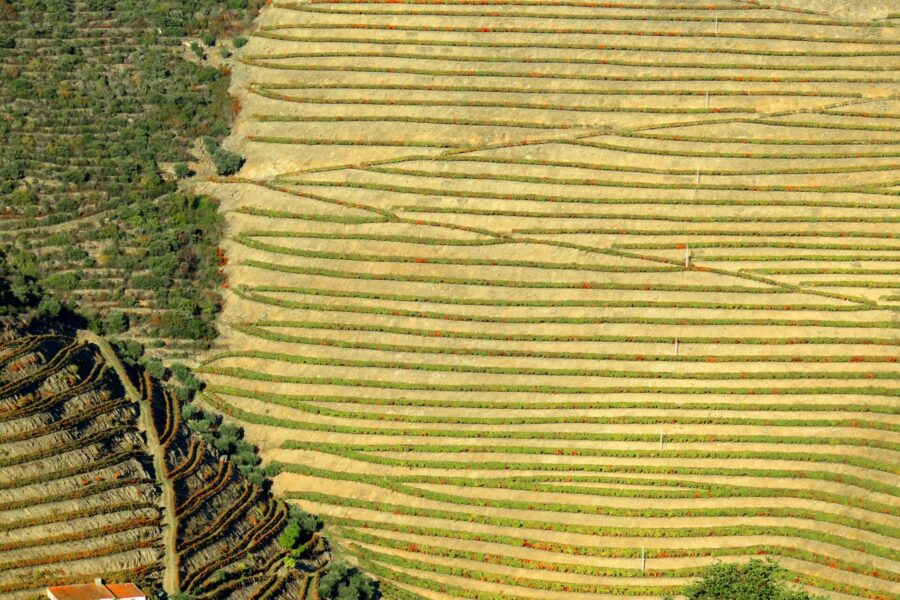 Douro Valley Wine History