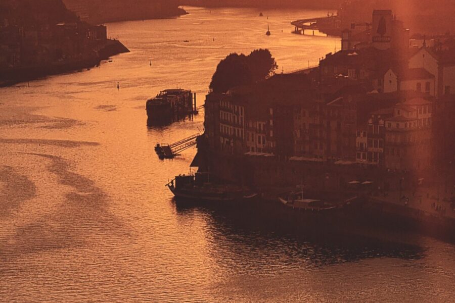 Douro Valley Wine Tours