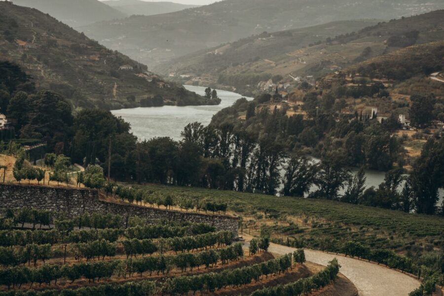 How to Explore Douro Valley Without a Car?