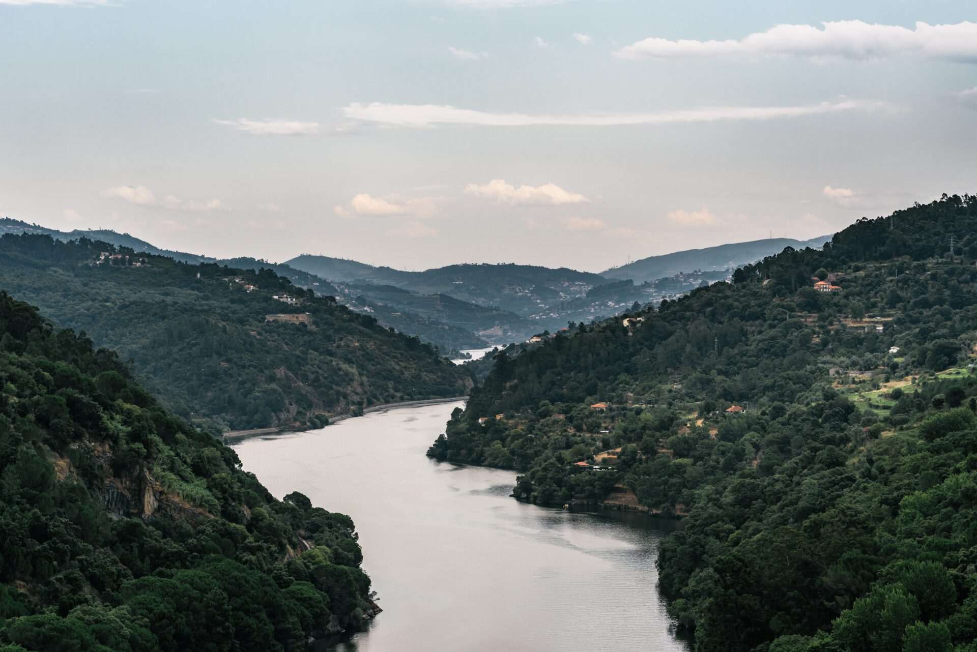 Is Douro wine Tour worth it?