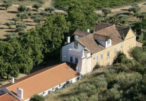 Quinta do Vale Meão