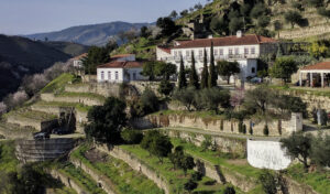 quinta do panascal