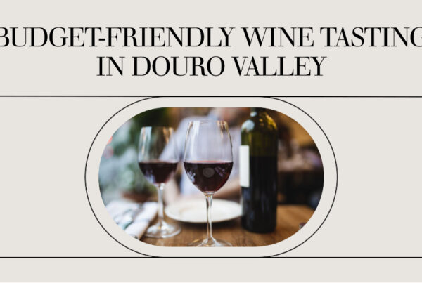 Budget-friendly wine tasting in Douro Valley