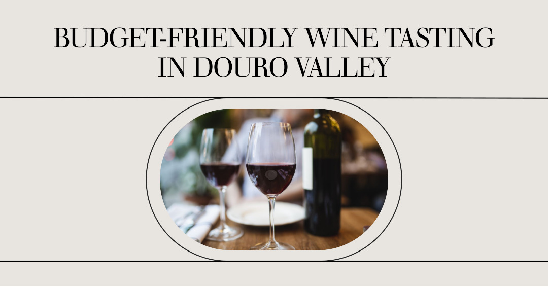 Budget-friendly wine tasting in Douro Valley