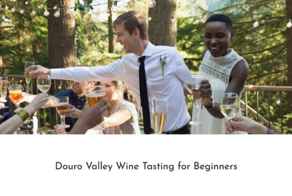 Douro Valley Wine Tasting for Beginners