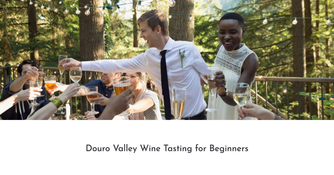 Douro Valley Wine Tasting for Beginners