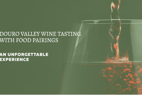 Douro Valley Wine Tasting with Food Pairings