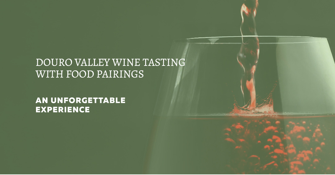 Douro Valley Wine Tasting with Food Pairings
