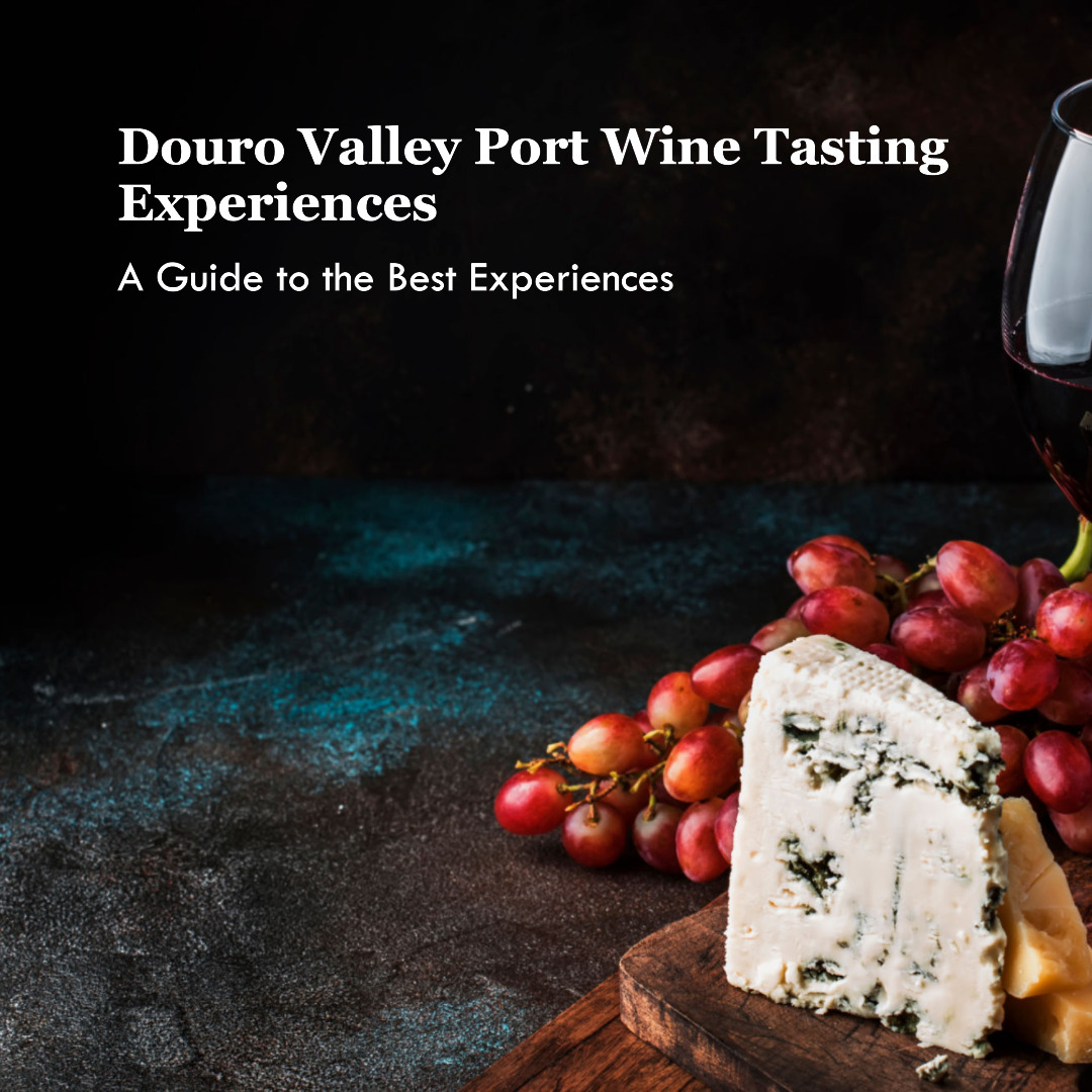 Douro Valley port wine tasting experiences