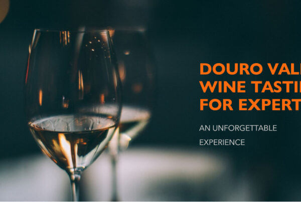 Douro Valley wine tasting for experts