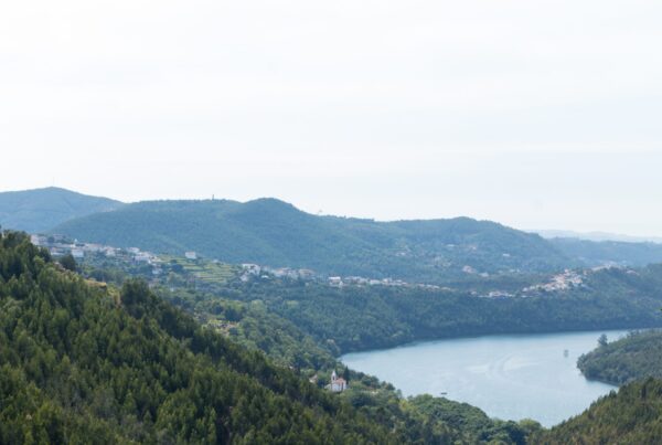 Group wine tasting experiences in Douro Valley