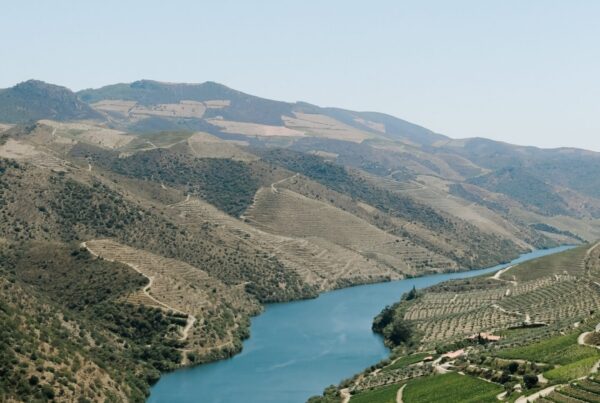 Private wine tasting tours in Douro Valley