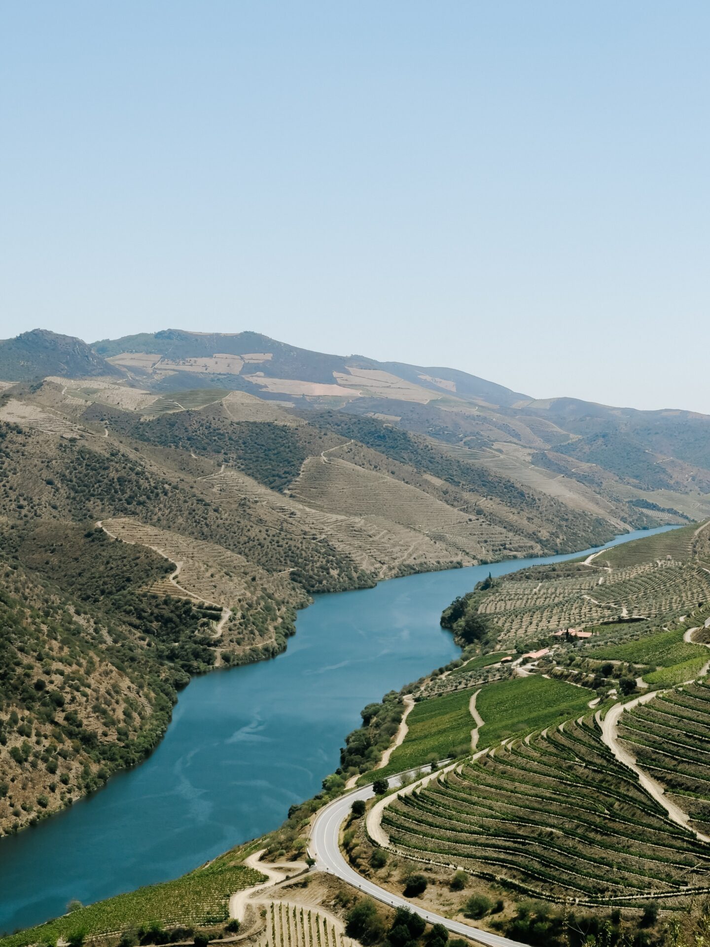 Private wine tasting tours in Douro Valley