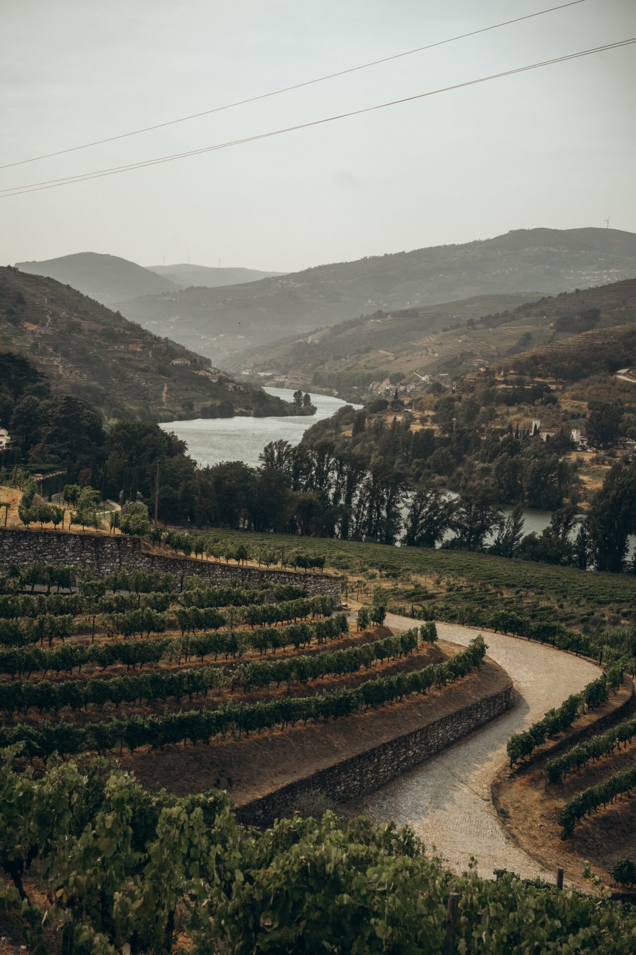 Wine Tasting in Douro Valley